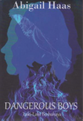Dangerous Boys